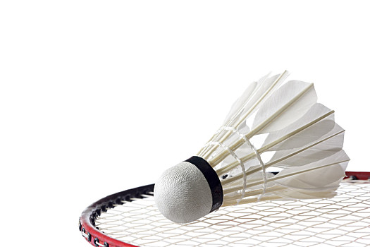 多年来在欧 多年来在欧