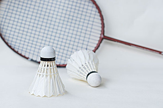 吸引了众多 吸引了众多